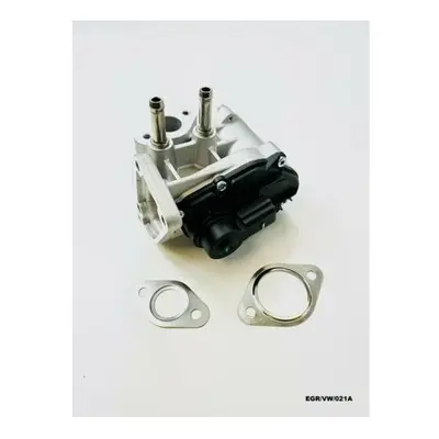 EGR Valve for VOLKSWAGEN POLO (9N_) 1.4FSI EGR/VW/021A