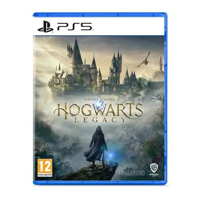 Hogwarts Legacy For Playstation