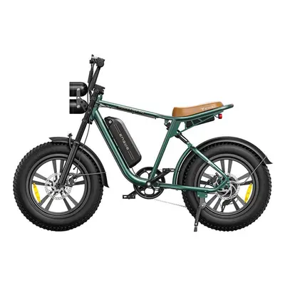 (GREEN SINGLE) ENGWE M20 Electric Bike 750W 25KM/H (Adults), 13AH