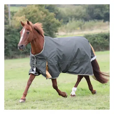 (6' 6", Green) Highlander Plus Standard-Neck 50g Horse Turnout Rug