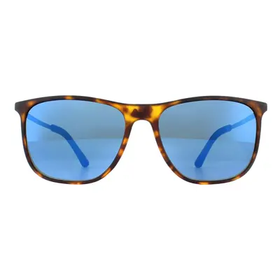 Police Sunglasses SPL567 Edge 7VEB Havana Rubberized Blue