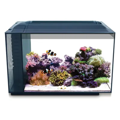 Fluval Sea Evo 52L Marine Saltwater Aquarium Kit with LED Lighting and Pump