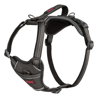 (L, Grey) Halti Anatomy Dog Harness