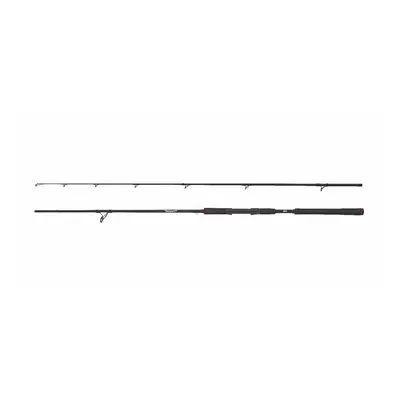 Abu Garcia Beast Spinning Rod 8ft 40-90g 2pc