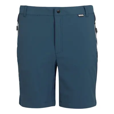 (33R, Moonlight Denim/Navy) Regatta Mens Mountain II Shorts