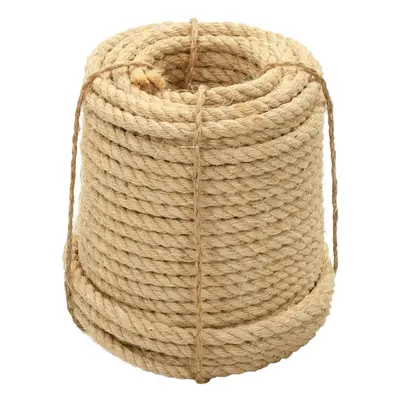 vidaXL Rope 100% Sisal 20mm 50m Twisted Twine Braided Rope Cat Scratching