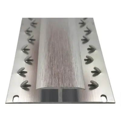 (Brushed Silver, 9ft) Prestige Door Bar Threshold Strip Double Trim Carpet To Carpet