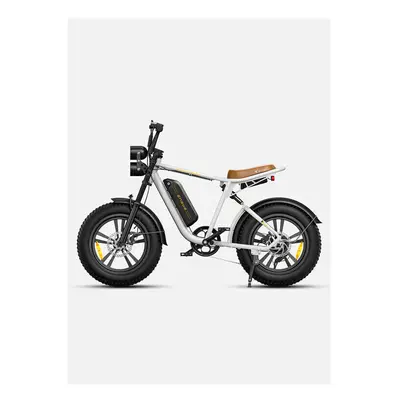 ENGWE M20 Electric Bike W750 25KM/H for Adults, Dual Battery 13AH E-bike