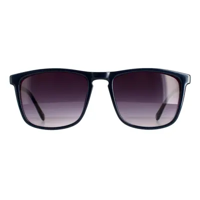 Ted Baker Sunglasses TB1535 Marlow Blue Charcoal Purple