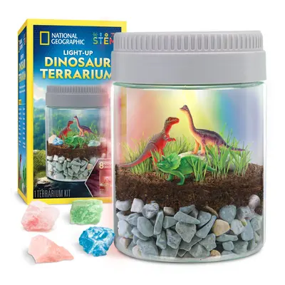 Dinosaur Terrarium Kit for Kids â Multicolour Light Up Terrarium Kit for Kids, Build a Dinosau