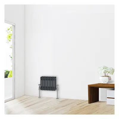 (300 x 425mm-2 Column) NRG Traditional Anthracite Cast Iron Style Radiator