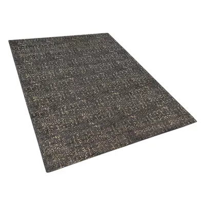 Viscose Area Rug x cm Grey and Gold ESEL