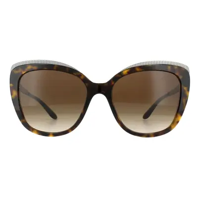 Dolce & Gabbana Sunglasses DG4332 502/13 Havana Brown Gradient