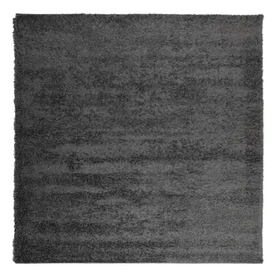 (anthracite, x cm) vidaXL Shaggy Rug Floor Mat Fluffy Rug Area Rug PAMPLONA High Pile Modern