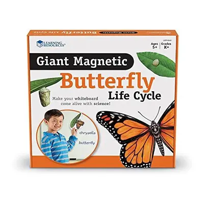 Learning Resources Butterfly Life Cycle, Write and Wipe Pieces, Classroom Accessories, Teaching 