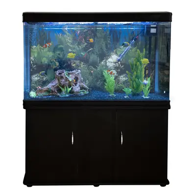 Aquarium Fish Tank & Cabinet with Complete Starter Kit - Black Tank & Blue Gravel