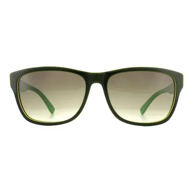 Lacoste Sunglasses L683S Black Green Grey