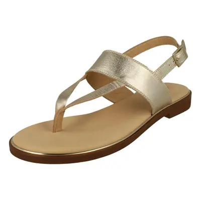 (UK 4.5, Champagne (Gold)) Ladies Clarks Stylish Toe Post Sandals Ellis Opal - D Fit