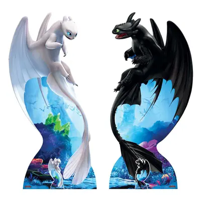 Toothless and Light Fury from How to Train Your Dragon Official Cardboard Cutout / Standee - Set