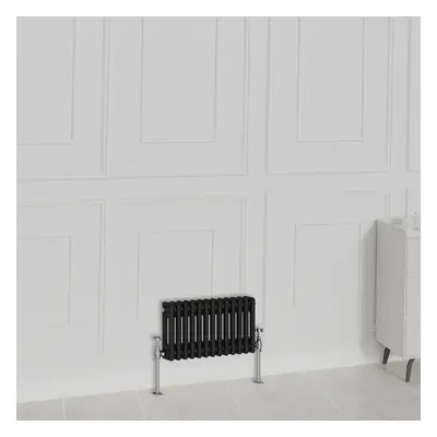 (300x605mm-2 Column, Black) NRG Traditional Radiator Horizontal Vertical Cast Iron Style Double 