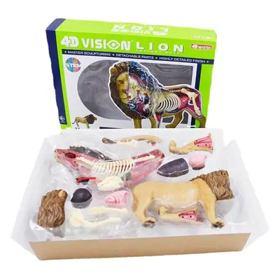 4D Lion Beast Wild Animal Internal Organs Anatomy Teaching Model Puzzle Assembly Toy