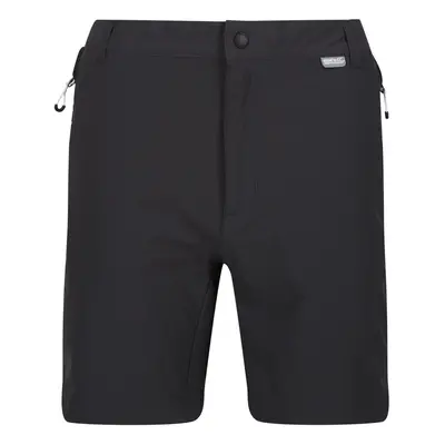 (42R, Ash/Black) Regatta Mens Mountain II Shorts