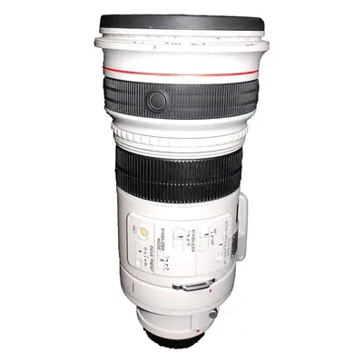 Canon RF 100-300mm F/2.8 IS USM Lens