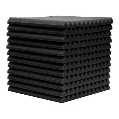 (Black) 12pcs 30x30x2.5cm Acoustic Foam Soundproof Studio Soundproofing Panels Cinema Muffler Sp