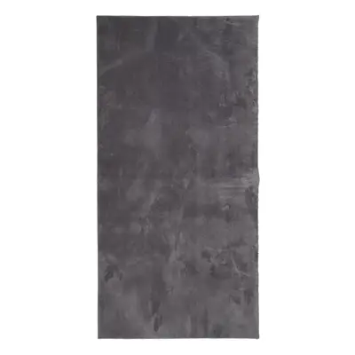 (anthracite, x cm) vidaXL Rug Short Pile Soft and Washable Floor Mat Area Rug Bedroom Carpet