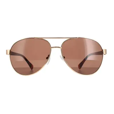 Calvin Klein Sunglasses CK19316S Gold Brown