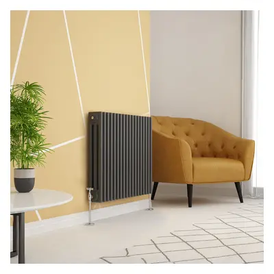 (600 x 830mm Triple, Anthracite) PlumbGalaxy Traditional-Style Cast Iron Radiator