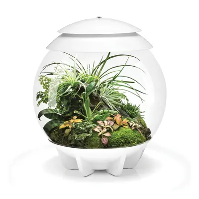 biOrb AIR White 30L Acrylic Terrarium with LED Lighting Ultrasonic Mister Reptile Tropical Plant