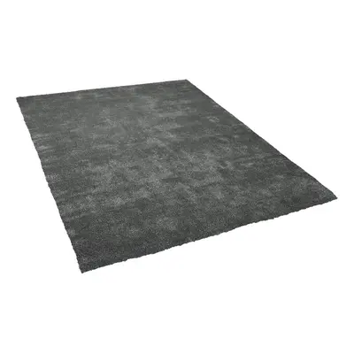 Shaggy Area Rug x cm Dark Grey DEMRE