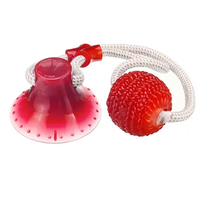 (Red) Pet Molar Bite with Suction Cup Rubber Ball Pet Toys