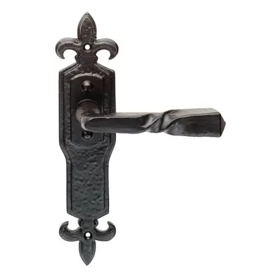 PAIR Forged Twisted Ornate Lever on Latch Backplate x 50mm Black Antique