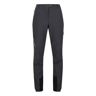 (8 UK, Seal Grey) Regatta Womens/Ladies Mountain III Walking Trousers