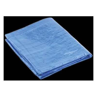 Tarpaulin 5.49 x 7.32m Blue