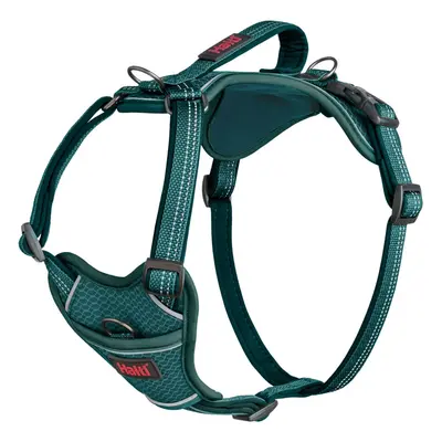 (L, Teal) Halti Anatomy Dog Harness