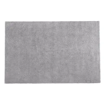 Shaggy Area Rug x cm Light Grey DEMRE