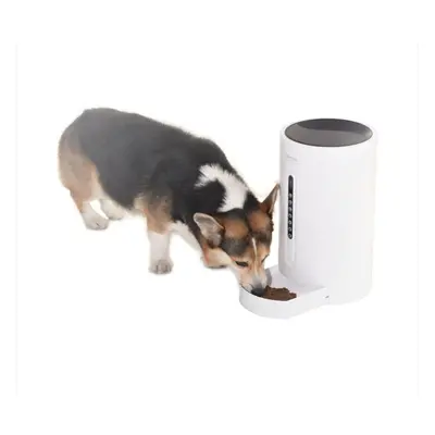 Pet Feeding Smart Feeder Dog Cat Food Dispenser 4.6L Large Capacity Voice Control Training Feedi