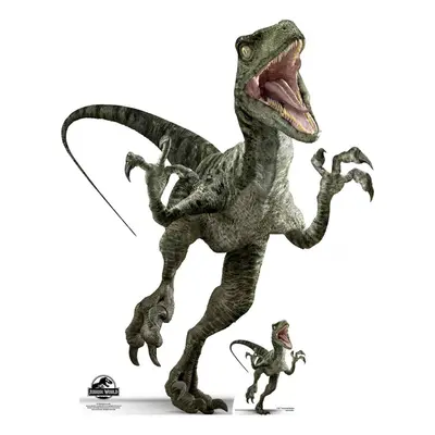 Velociraptor Charlie Official Jurassic World Lifesize Cardboard Cutout / Standee