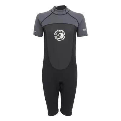 (18 UK - UK, Dark Grey/Black) Regatta Womens/Ladies Shorty Wetsuit