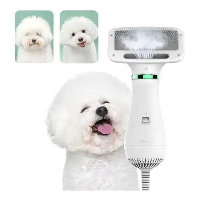 (US Plug) in Pet Grooming Hair Dryer Blower with Slicker Slicker Brush Adjustable Temperature Lo