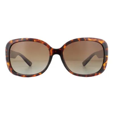 Polaroid Sunglasses PLD 4069/G/S/X LA Havana Brown Gradient Polarized