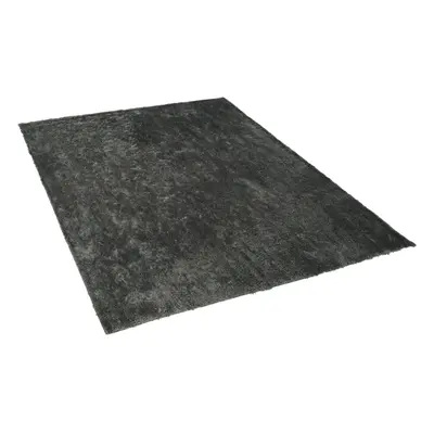 Shaggy Area Rug x cm Dark Grey EVREN