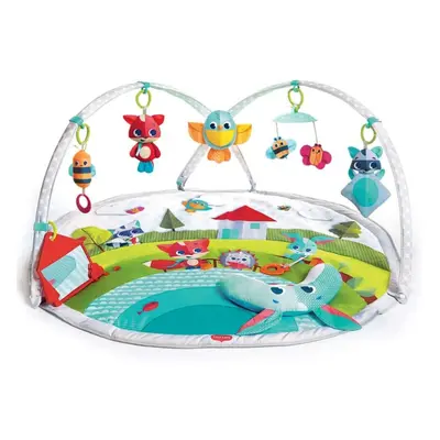 Dynamic Gymini, Baby Play Mat and Activity Gym with Music and Lights, Suitable from Birth, Month