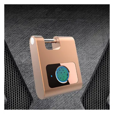 (Rose Gold) bluetooth Outdoor Portable Intelligent Small Door Lock Phone App Software Control Fi