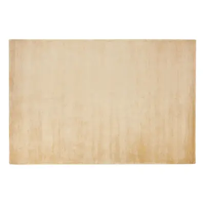 Viscose Area Rug x cm Sand Beige GESI II