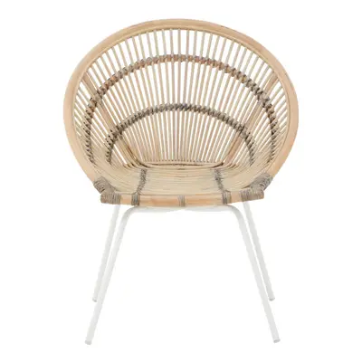 Interiors by Premier Black Washed Natural Rattan Chair, Rustless Rattan Chair, Easy Cleaning Rat