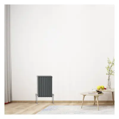 (Horizontal 600x413mm - Double) NRG Oval Column Designer Radiator Bathroom Central Heating Anthr